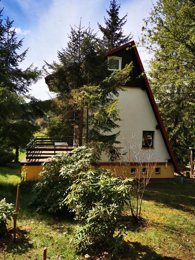 Villa Wojtowka 16 Lądek-Zdrój Exterior foto
