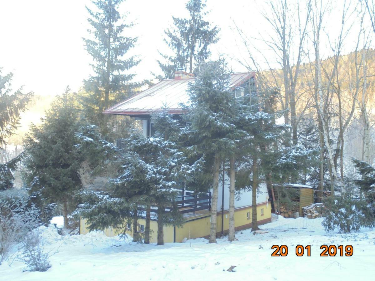 Villa Wojtowka 16 Lądek-Zdrój Exterior foto